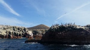 Thousands of birds nesting at Islas de Balletas in Paracas, Peru