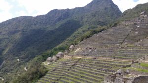 Agricultural terraces at Machu Picchu. 