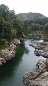 Beautiful crystal clear water of Pelorus River, but freaking cold!