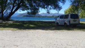 Shitty enjoying a day at the beach in Wanaka.