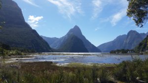 Arriving at breath taking Milford Sound.