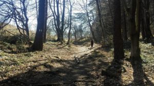 A challenging but scenic run up Tâmpa Mountain.